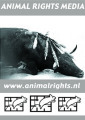 Animal Rights Media: Your Daily Animal Rights News