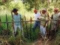 Protsting farmers against Novartis/Syngenta