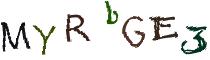 Beeld-CAPTCHA