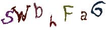 Beeld-CAPTCHA