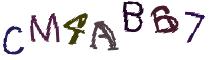 Beeld-CAPTCHA