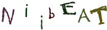 Beeld-CAPTCHA