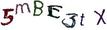 Beeld-CAPTCHA