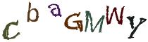 Beeld-CAPTCHA