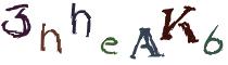 Beeld-CAPTCHA