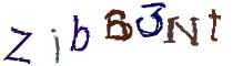 Beeld-CAPTCHA