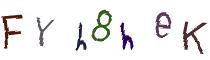 Beeld-CAPTCHA