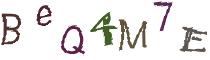 Beeld-CAPTCHA