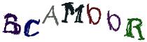 Beeld-CAPTCHA