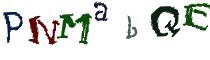 Beeld-CAPTCHA