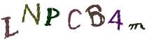 Beeld-CAPTCHA