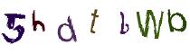 Beeld-CAPTCHA