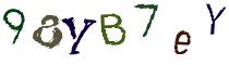 Beeld-CAPTCHA