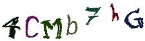 Beeld-CAPTCHA