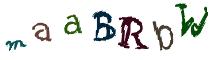 Beeld-CAPTCHA