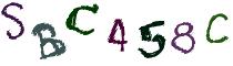 Beeld-CAPTCHA