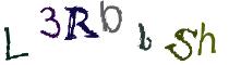 Beeld-CAPTCHA