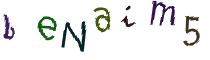 Beeld-CAPTCHA