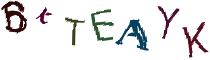 Beeld-CAPTCHA