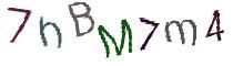 Beeld-CAPTCHA