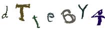 Beeld-CAPTCHA