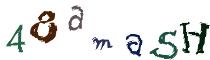 Beeld-CAPTCHA