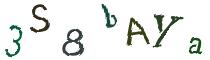 Beeld-CAPTCHA