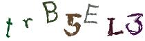 Beeld-CAPTCHA