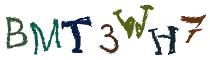 Beeld-CAPTCHA