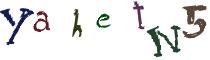 Beeld-CAPTCHA