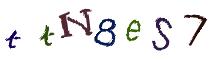 Beeld-CAPTCHA