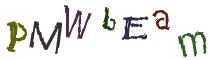Beeld-CAPTCHA