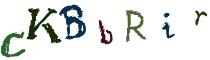 Beeld-CAPTCHA