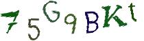 Beeld-CAPTCHA