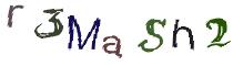 Beeld-CAPTCHA