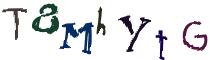 Beeld-CAPTCHA