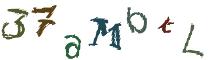 Beeld-CAPTCHA