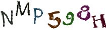 Beeld-CAPTCHA