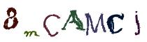 Beeld-CAPTCHA