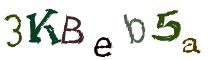 Beeld-CAPTCHA