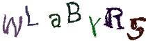 Beeld-CAPTCHA