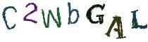 Beeld-CAPTCHA