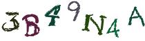 Beeld-CAPTCHA