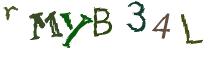 Beeld-CAPTCHA