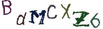 Beeld-CAPTCHA