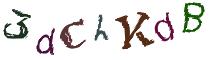 Beeld-CAPTCHA