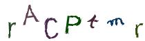 Beeld-CAPTCHA