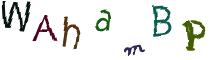 Beeld-CAPTCHA