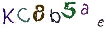 Beeld-CAPTCHA