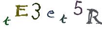 Beeld-CAPTCHA